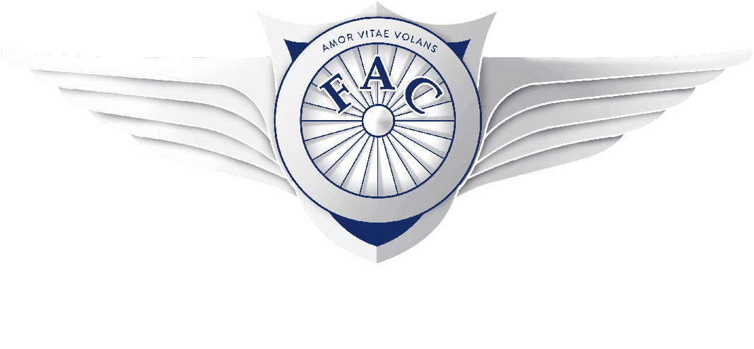 Flylink Aviation College transparent logo